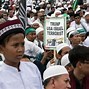 Beruang Menyerang Orang Melawan Israel Atau Palestina